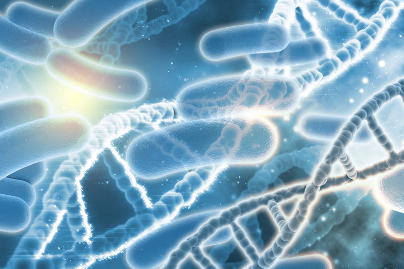 🦠 New 2025 Study: The Invisible Ecosystem Living on Your Aligners